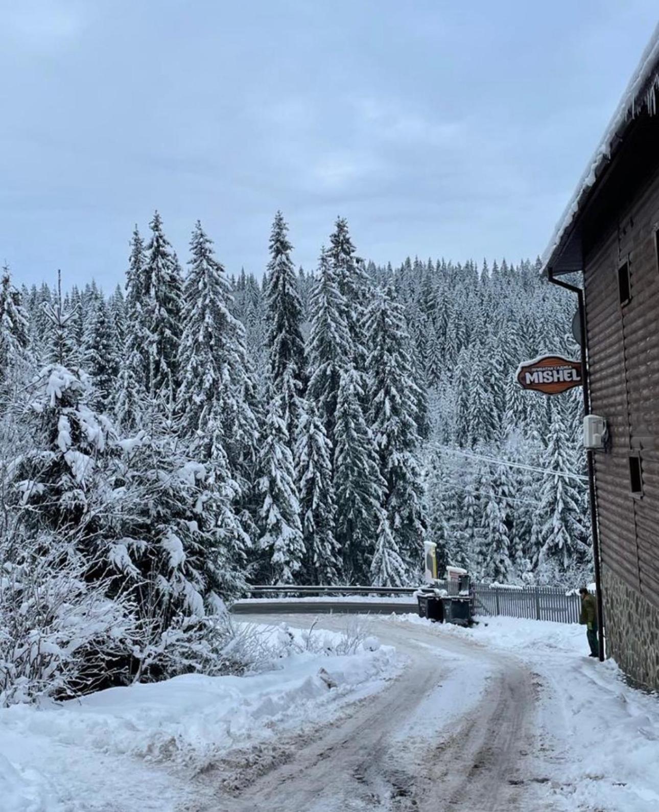 Садиба Mishel Jablunyzja Exterior foto